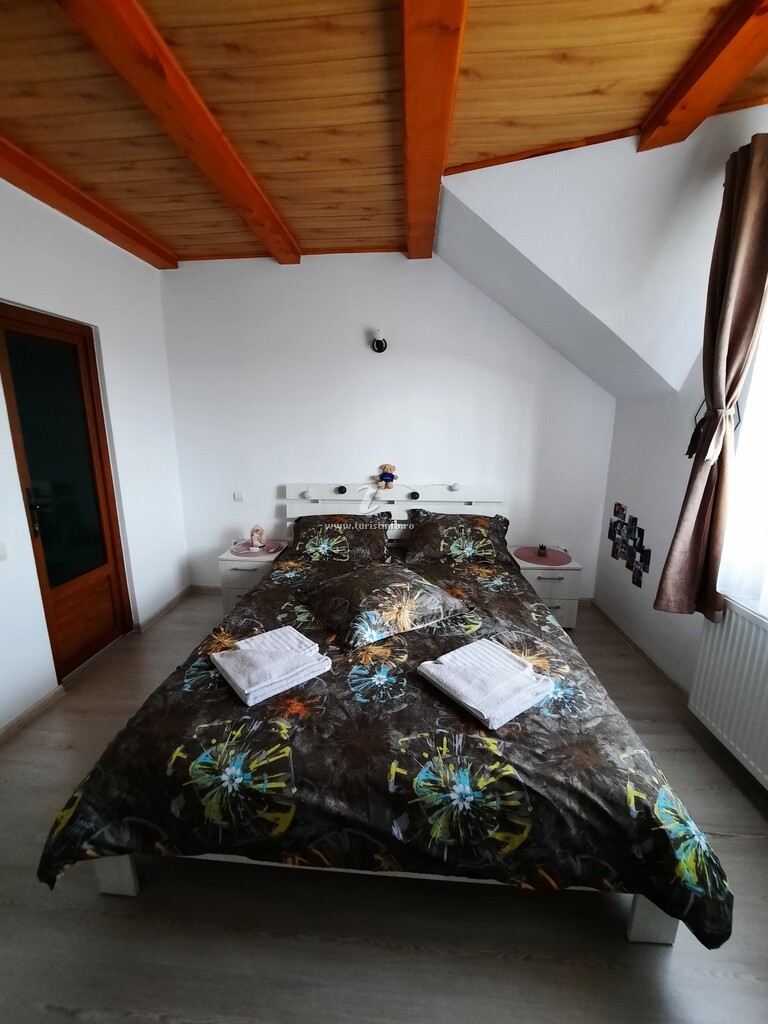 Casa Flavia