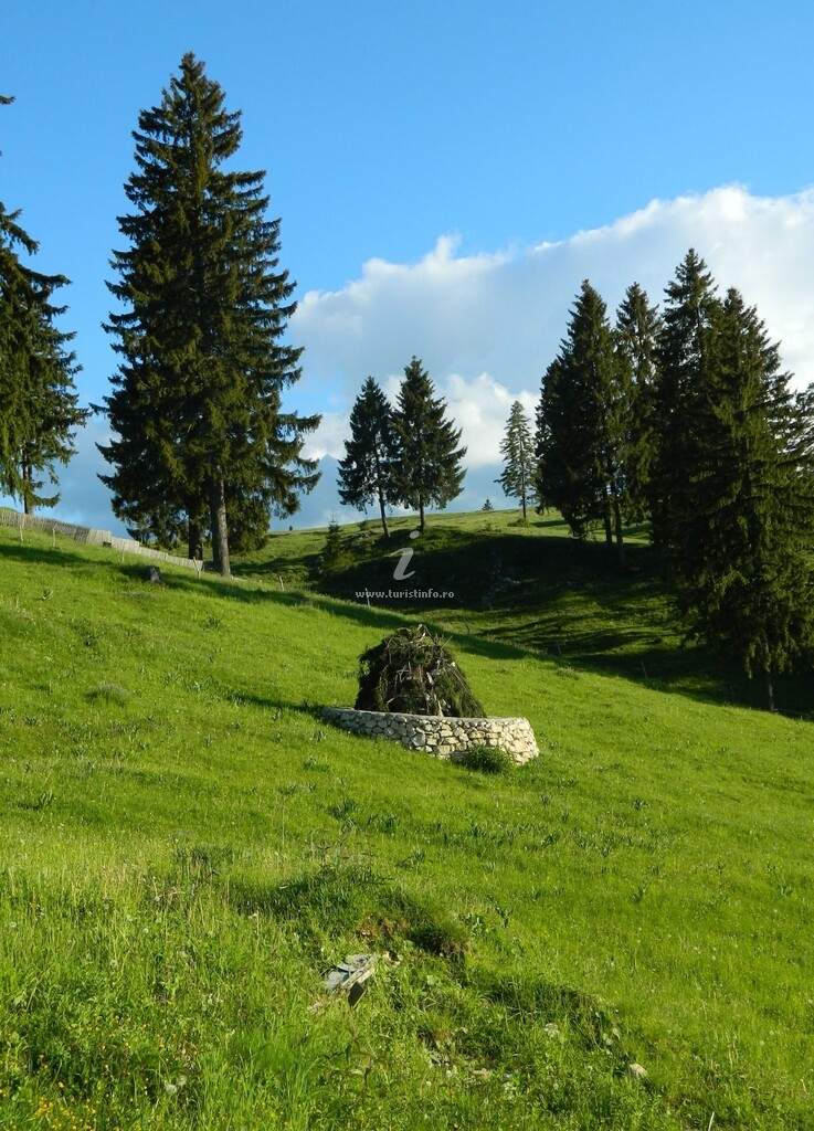 Vila Dealul Sasului