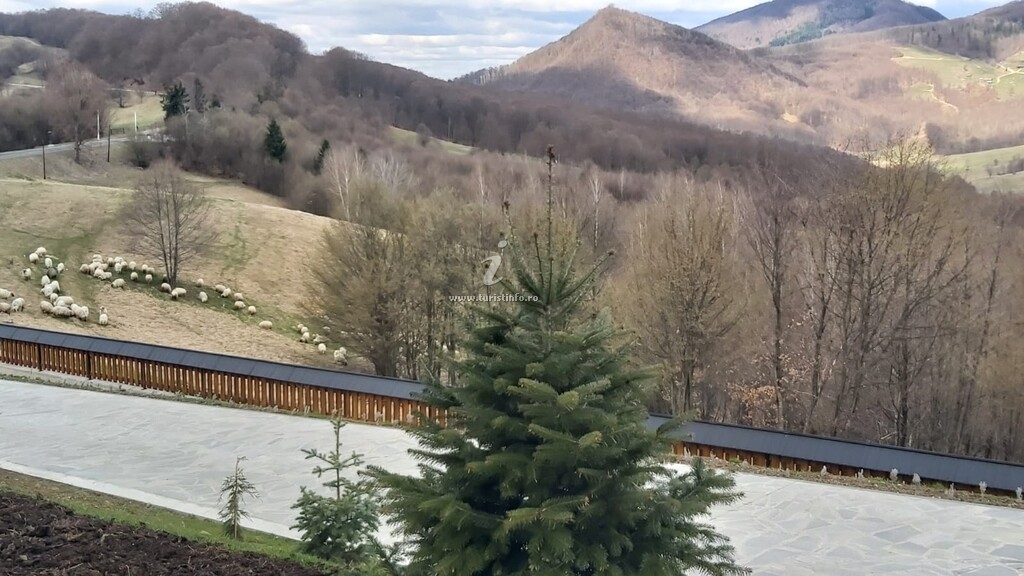 Pensiunea Belvedere