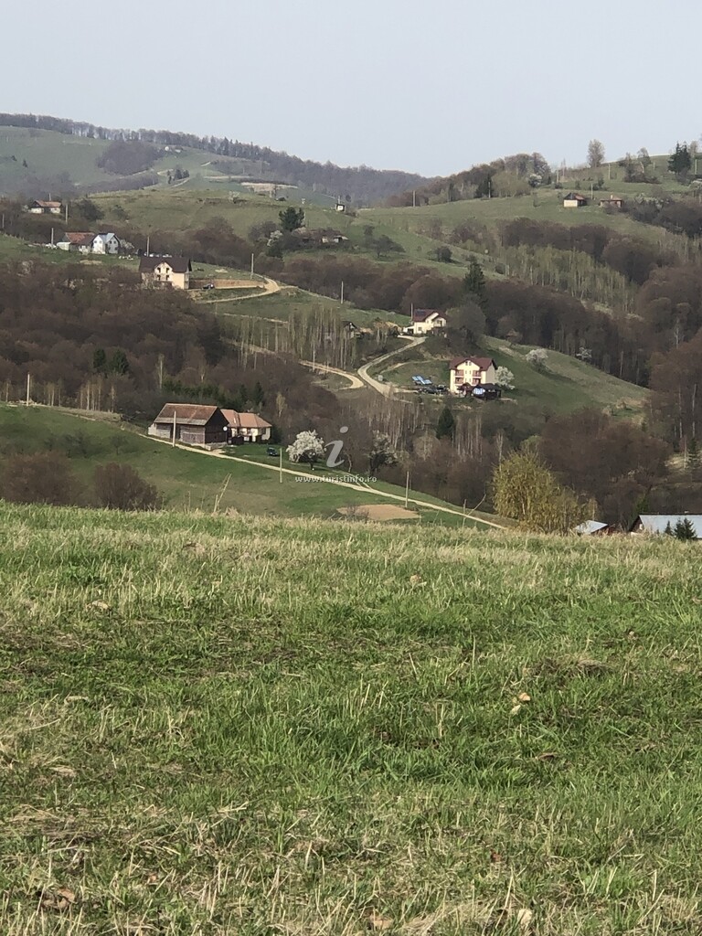 Conacul din Pădure