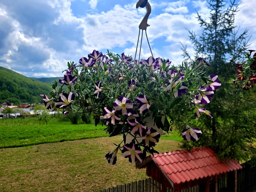 Casa Delia