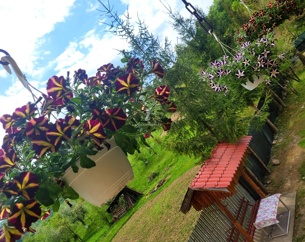 Casa Delia