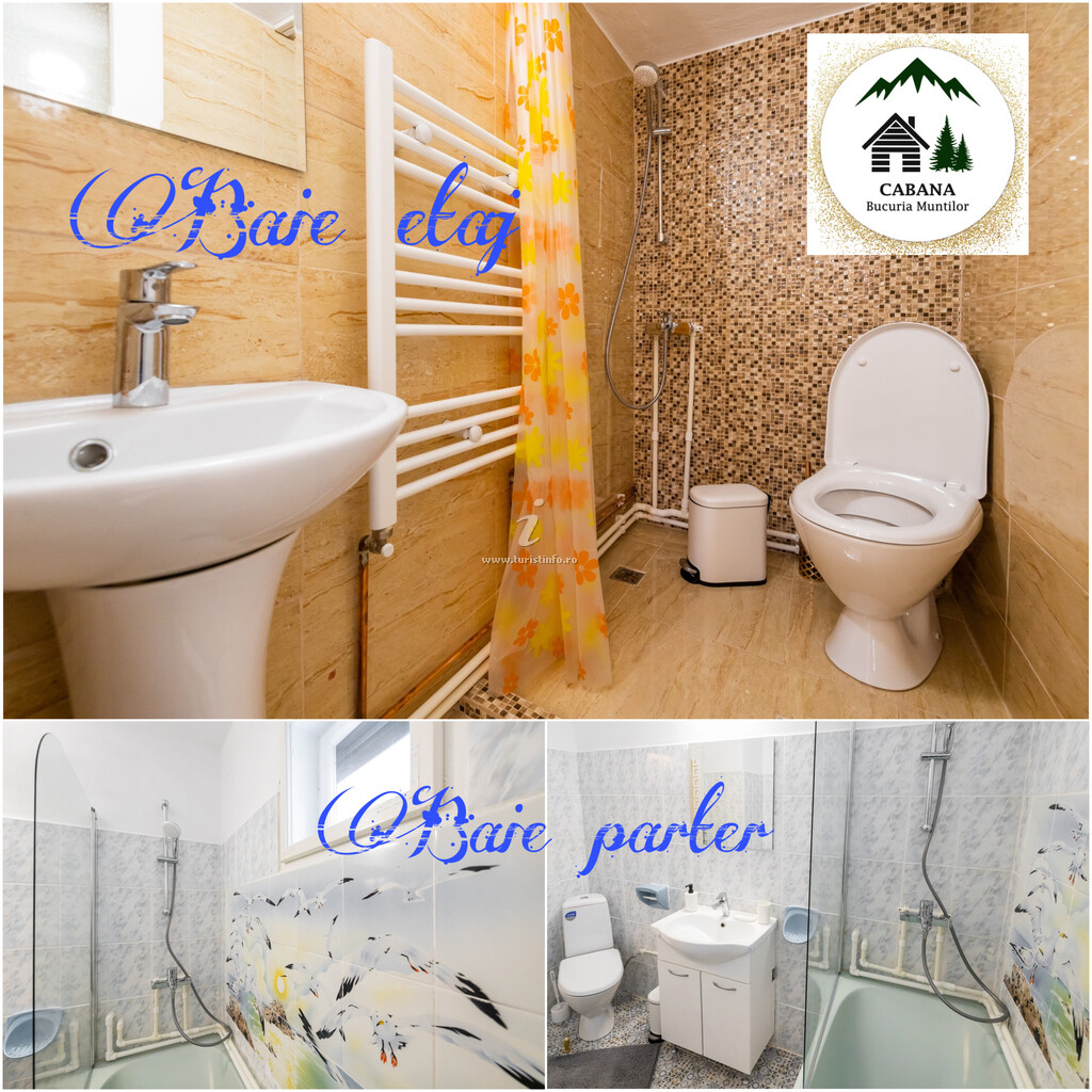 Cabana Bucuria Munților