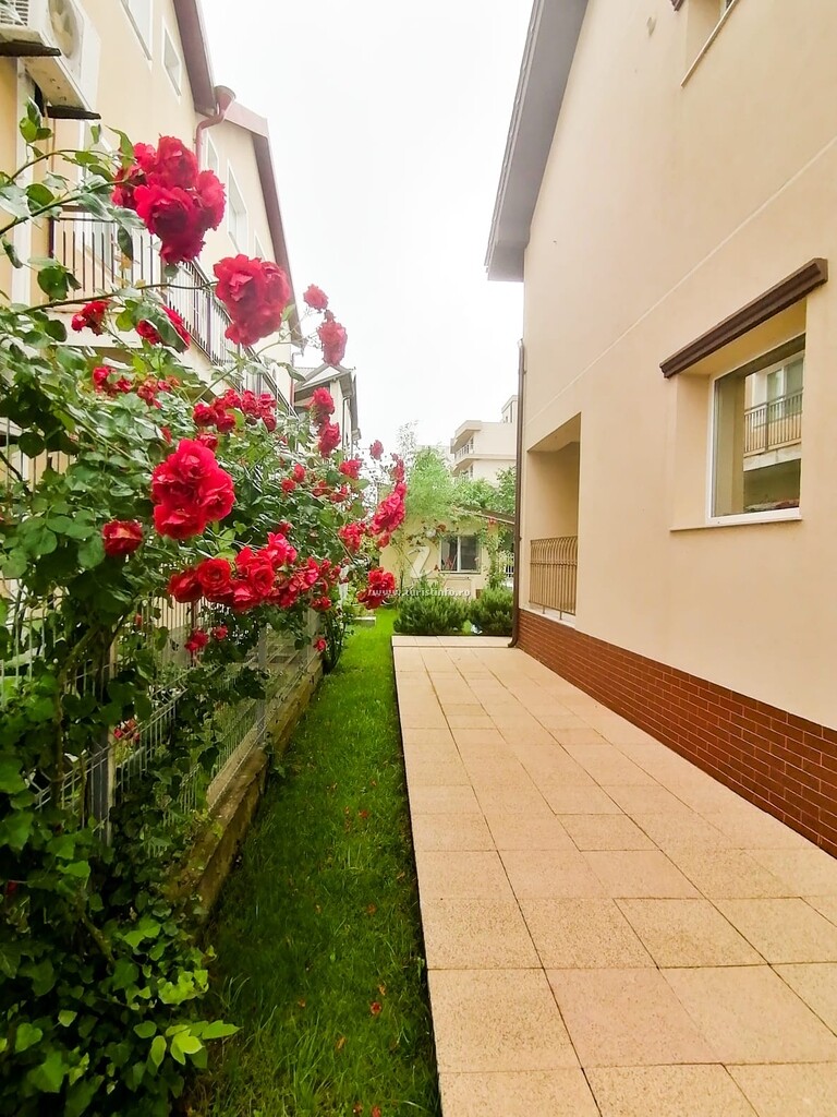 Casa Crem