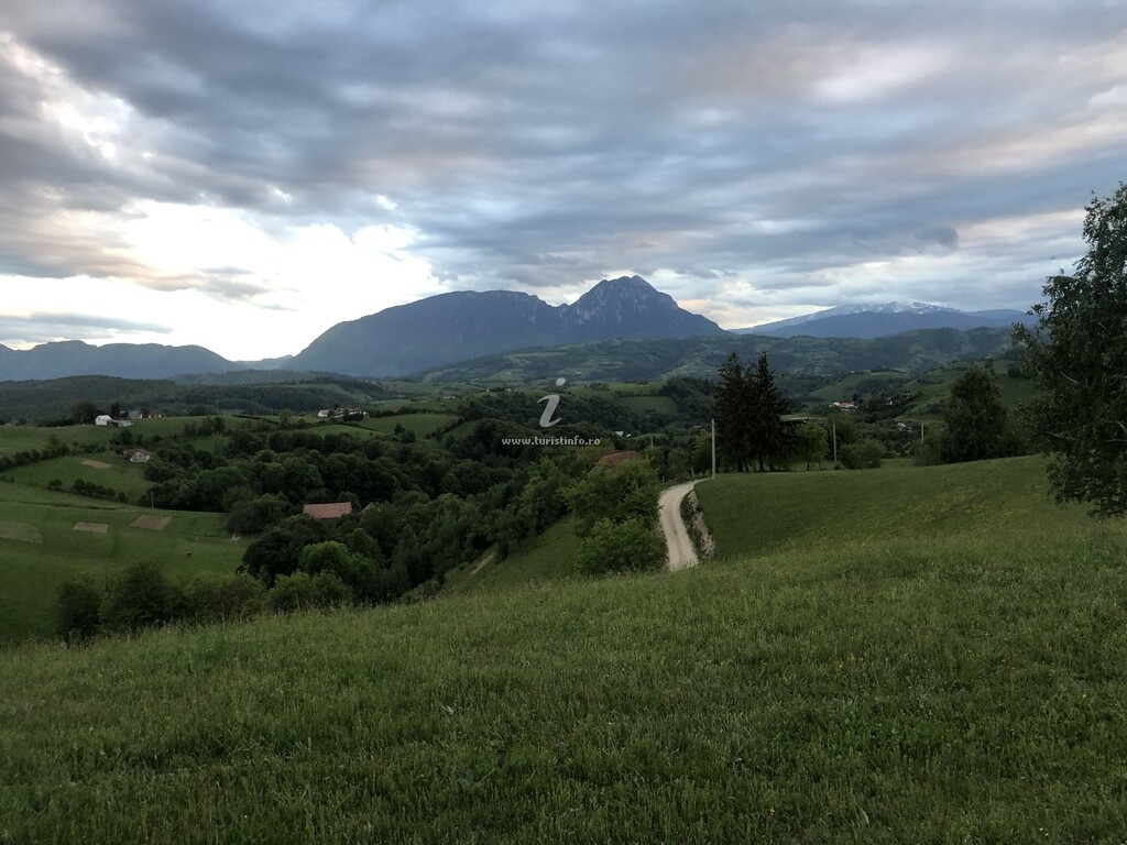 Conacul din Pădure