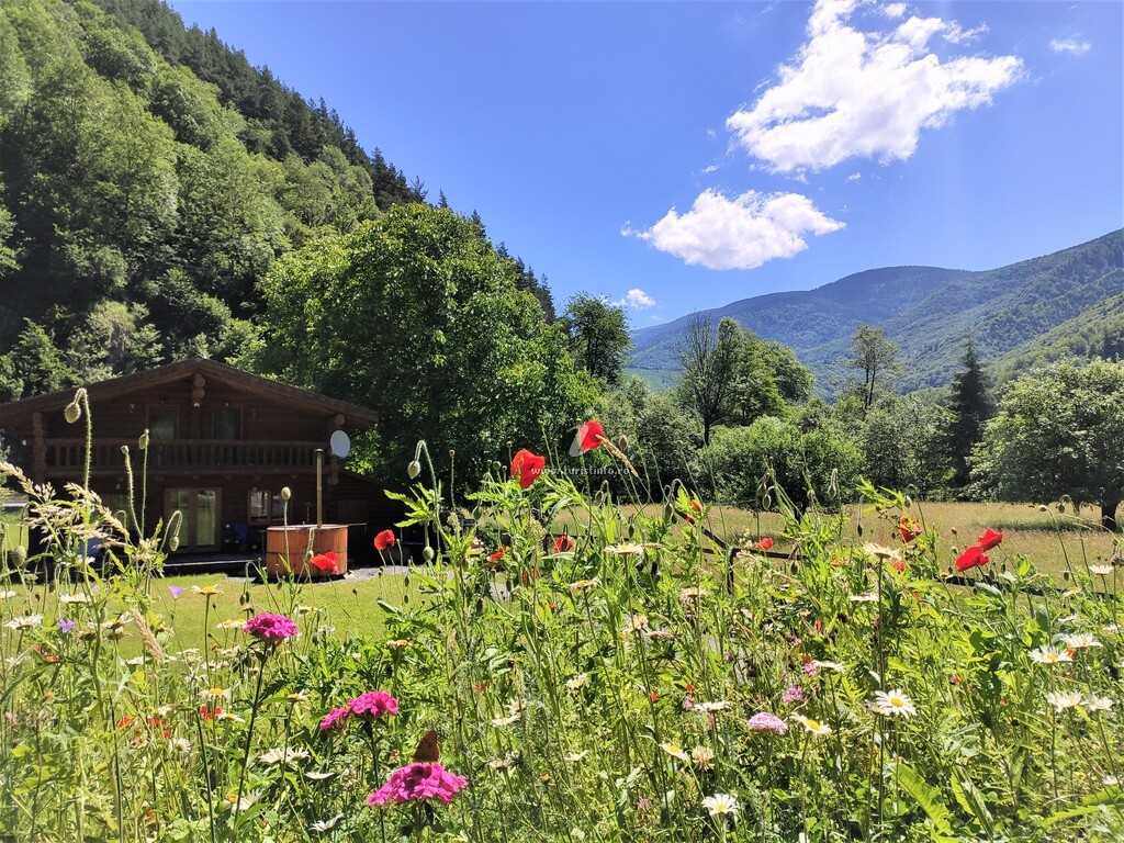 Casa de vacanță Timber Charm Chalet
