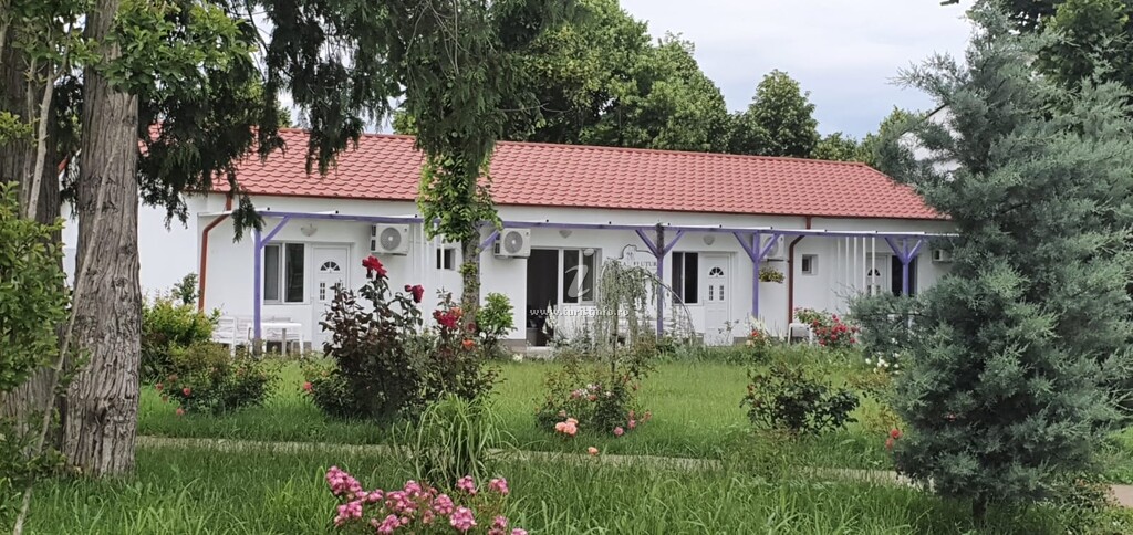 Casa La Fluturi