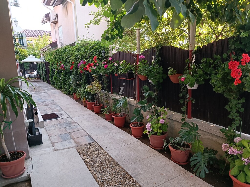 Casa Minel