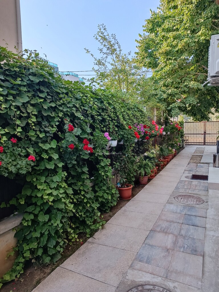 Casa Minel