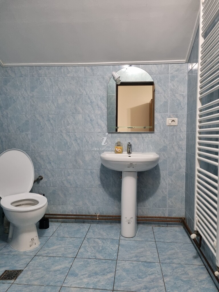Casa de vacanță Alin
