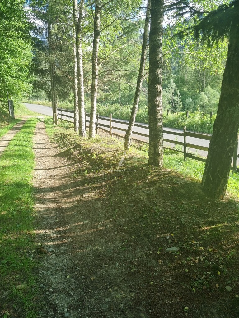 Casa de vacanță Alin