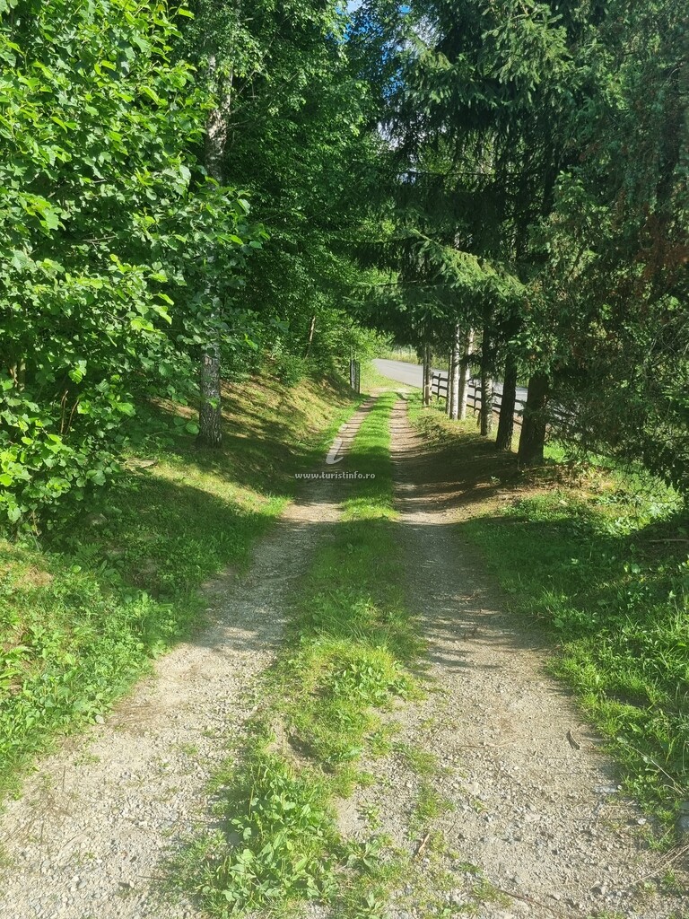 Casa de vacanță Alin