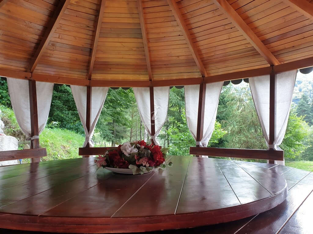 Casa de vacanță Alin