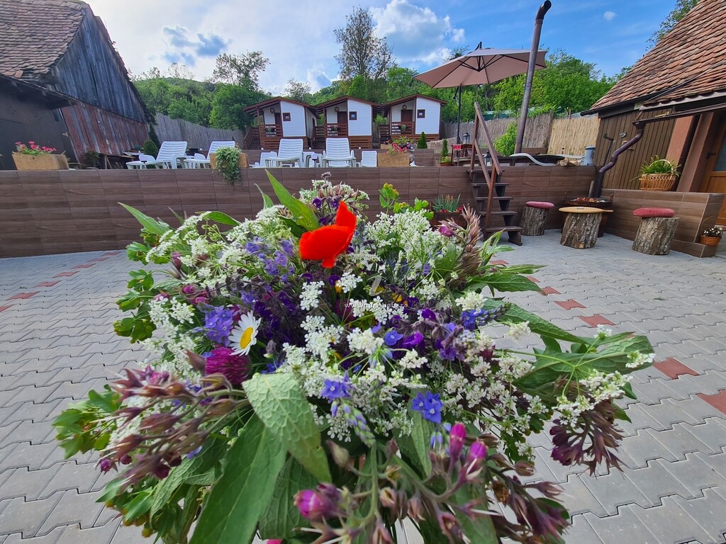 Camere de închiriat Flory Haus