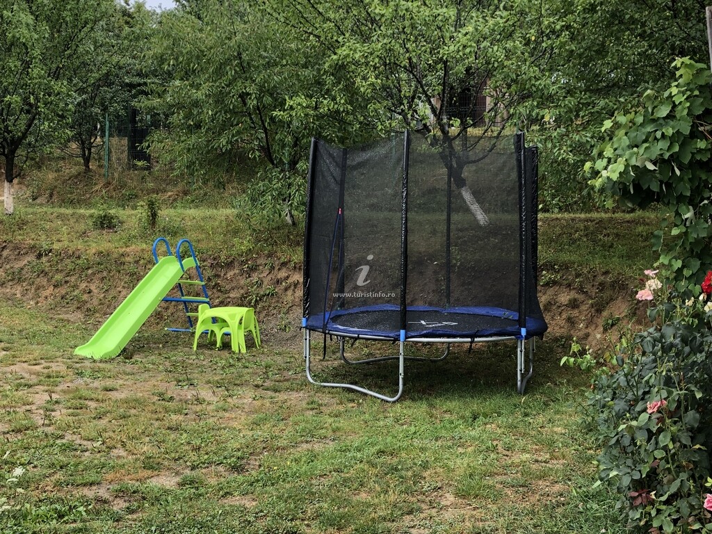 Cabana dintre Fagi