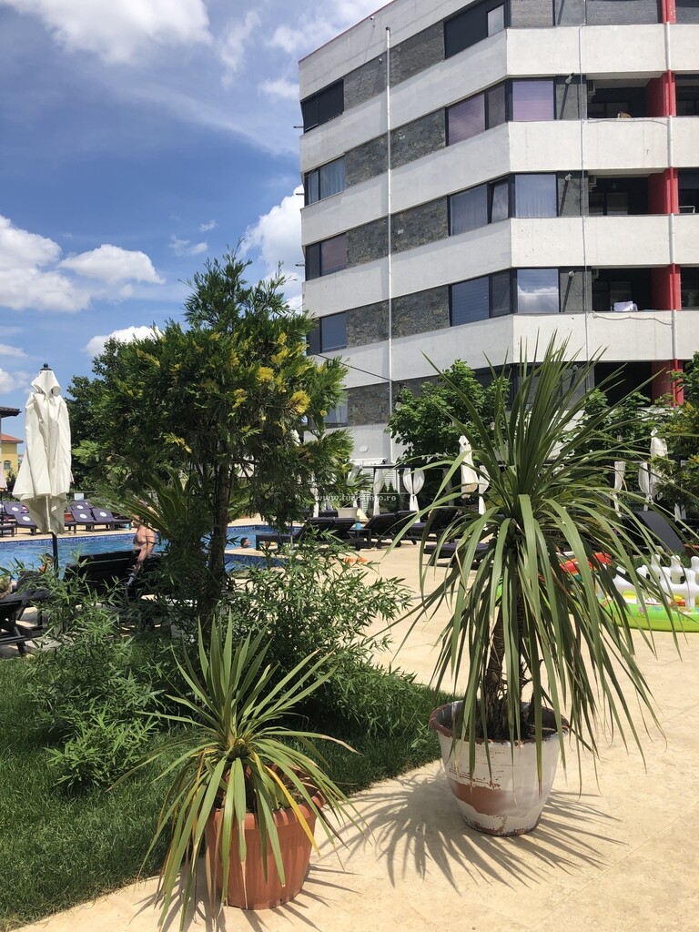 Apartament  Zig Zag  Alezzi