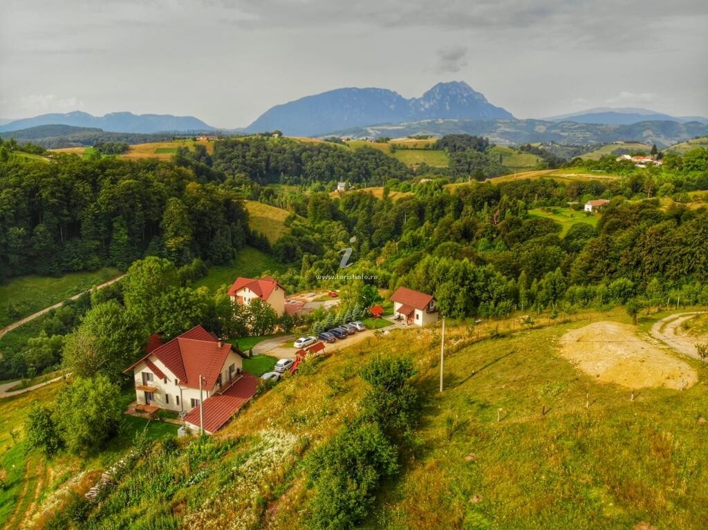 Pensiunea 7 Brazi 2