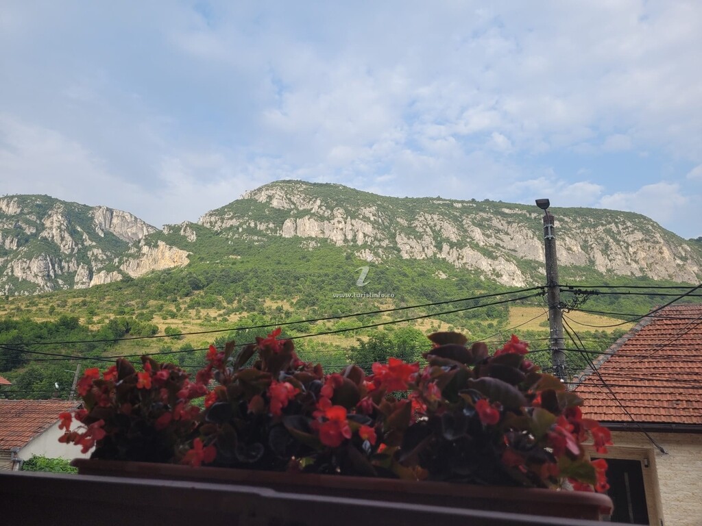 Casa Bașu