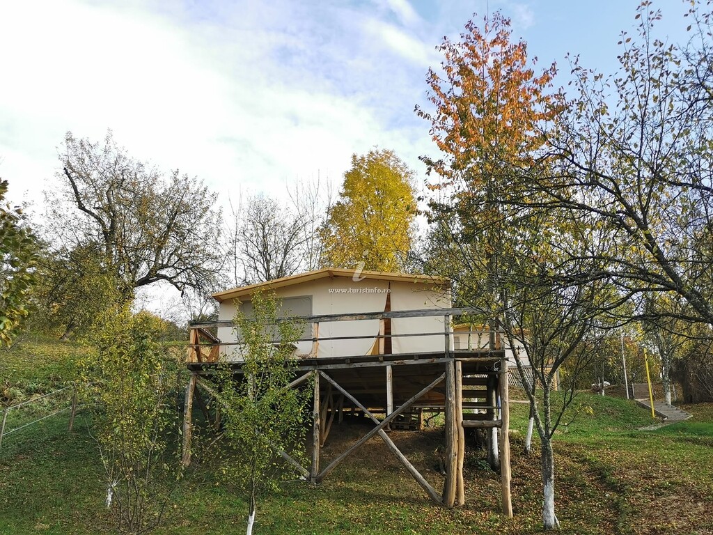 Camping Mesteceni Glamping