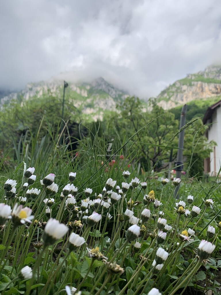 Pensiunea Roua de Munte
