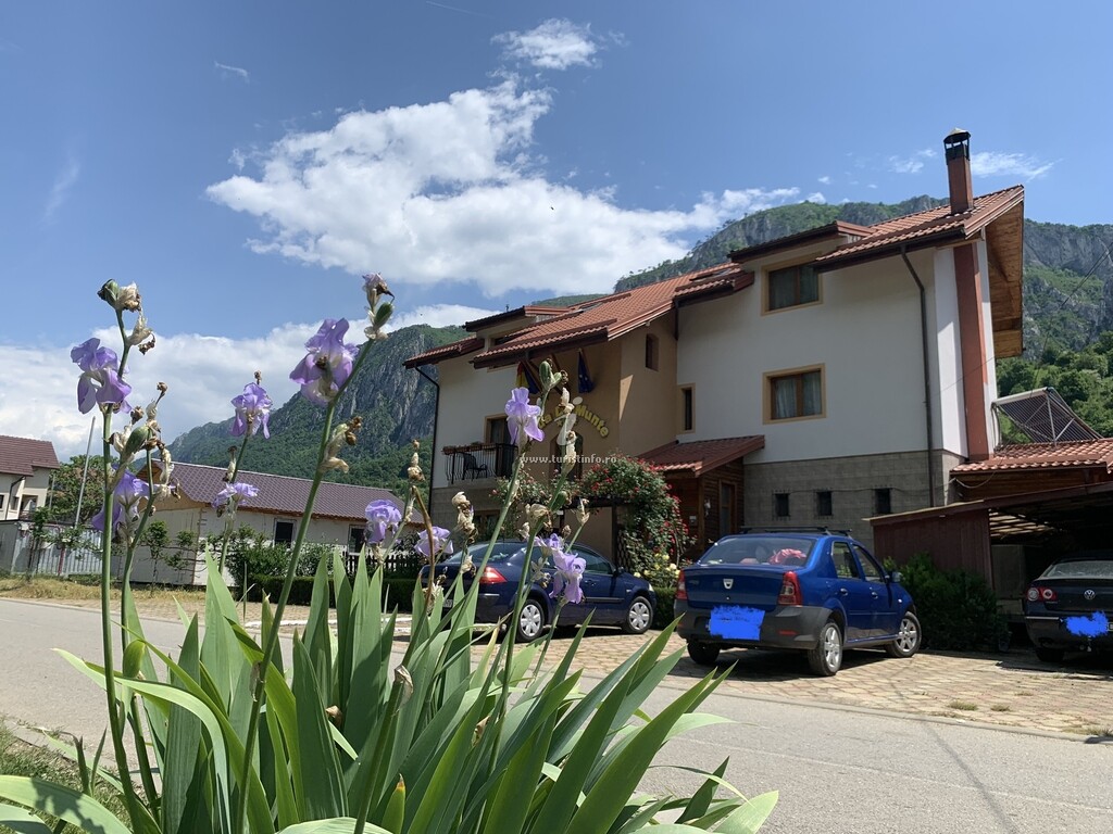 Pensiunea Roua de Munte