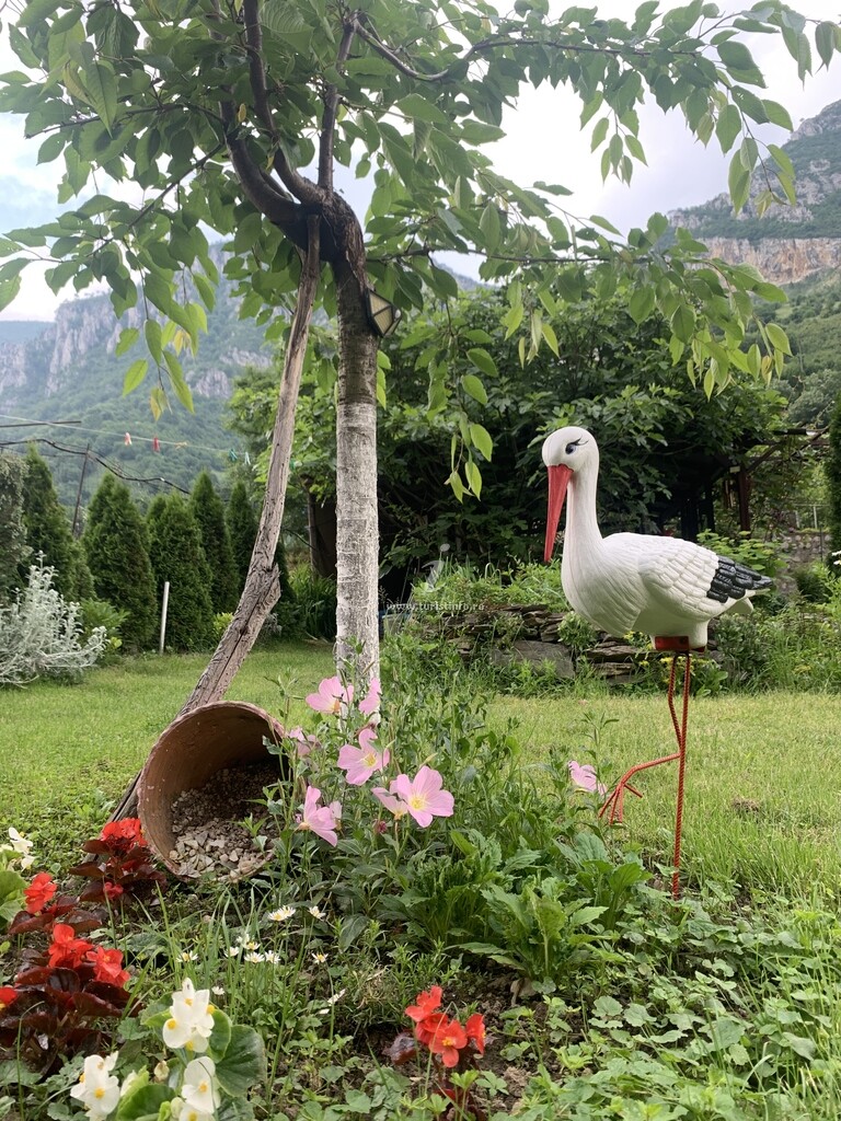 Pensiunea Roua de Munte