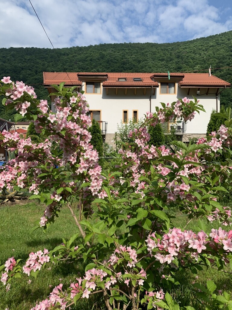 Pensiunea Roua de Munte