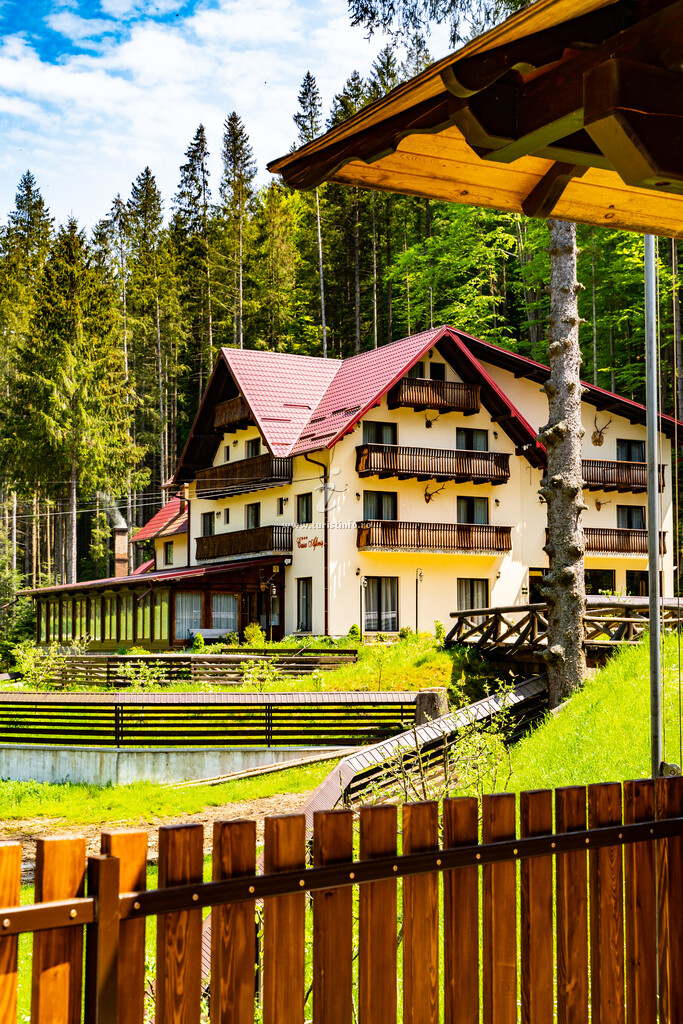 Casa Afiniș