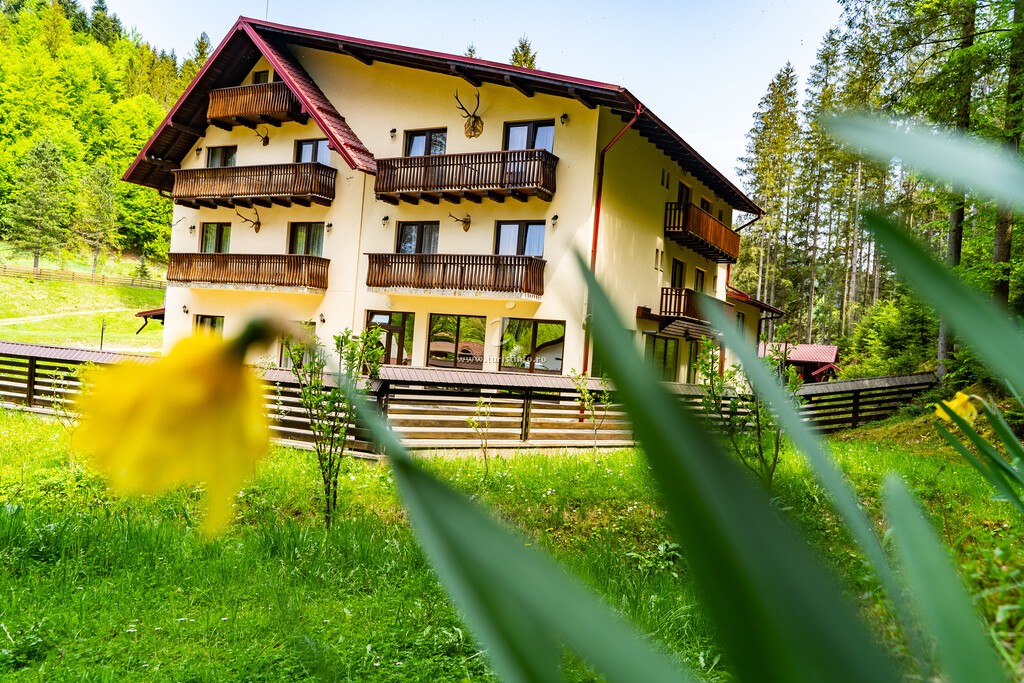 Casa Afiniș