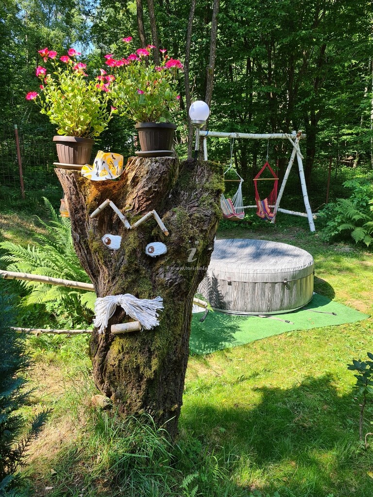 Casa de vacanță Vistișoara