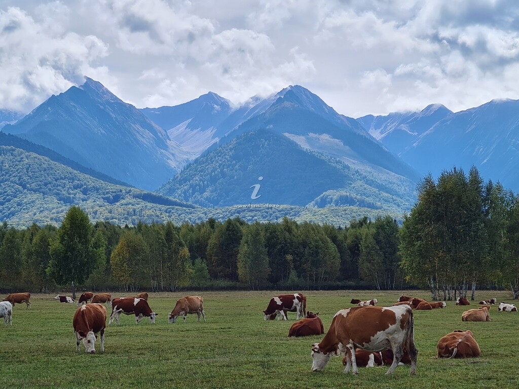 Casa de vacanță Vistișoara