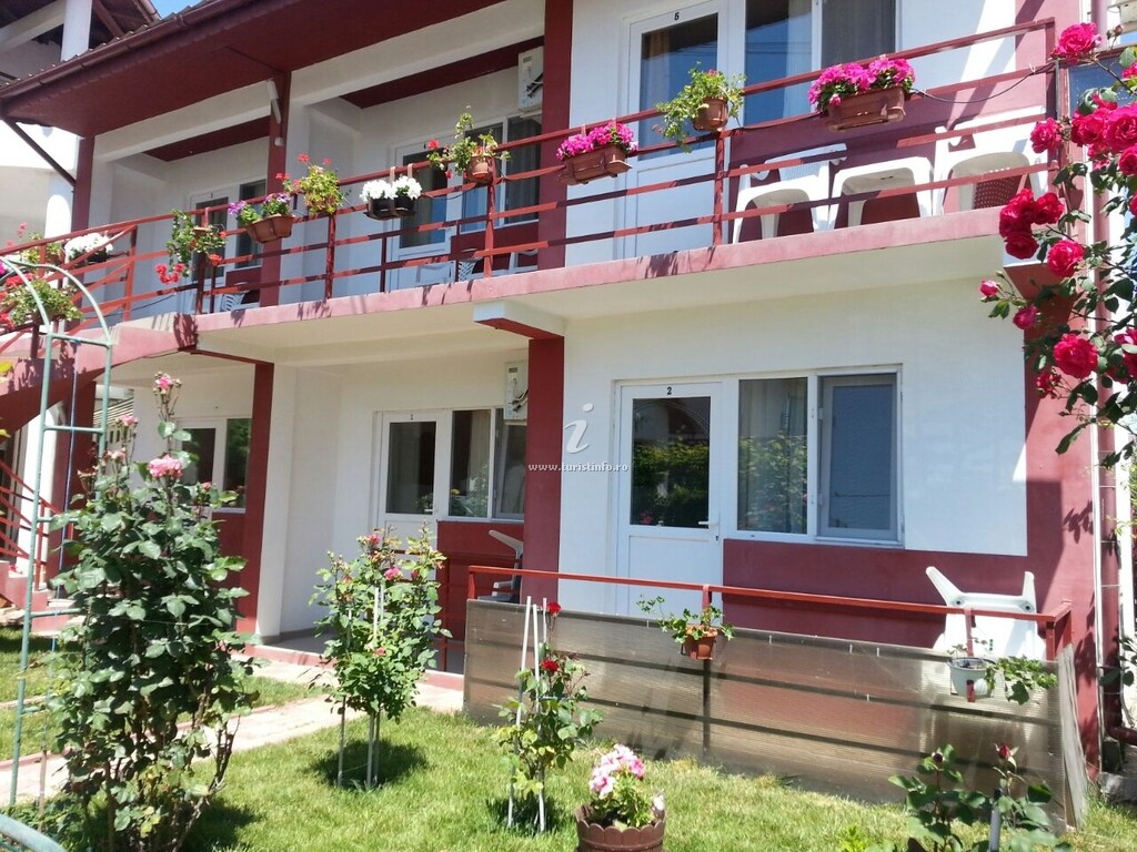 Camere de închiriat Dovi