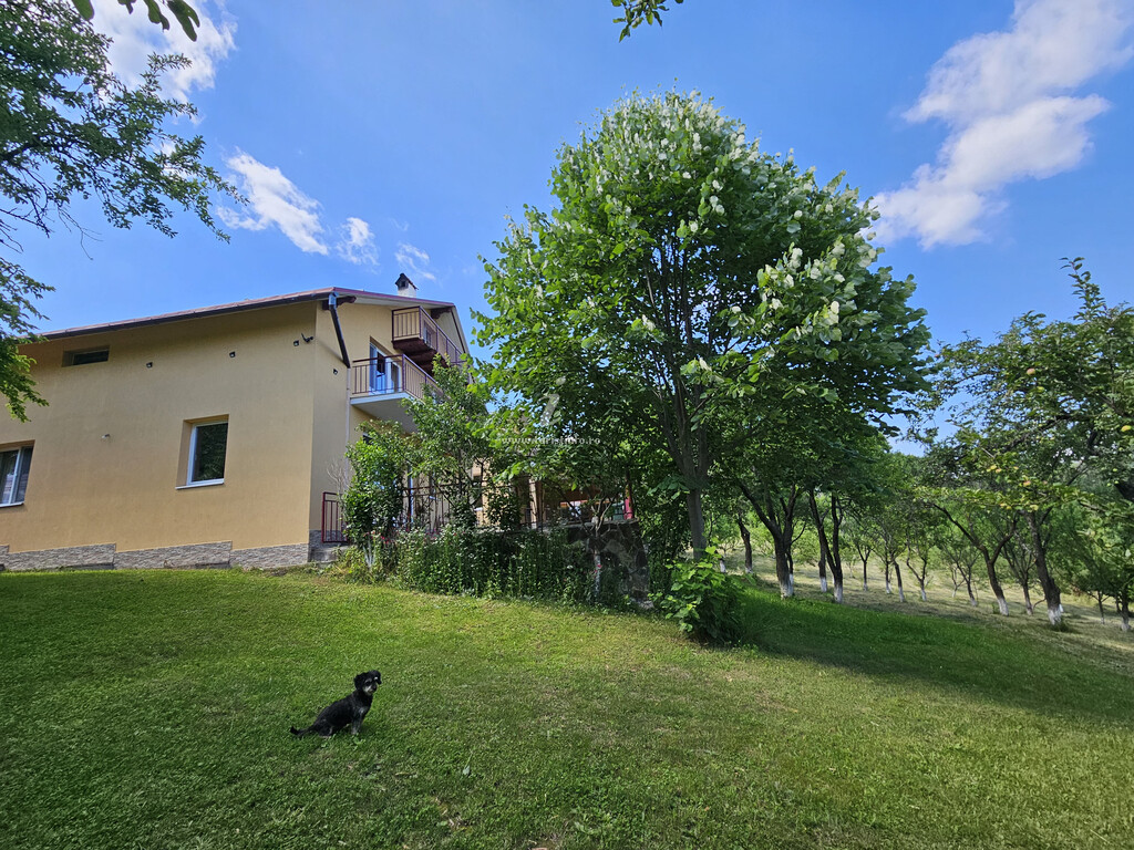 Casa de pe Deal