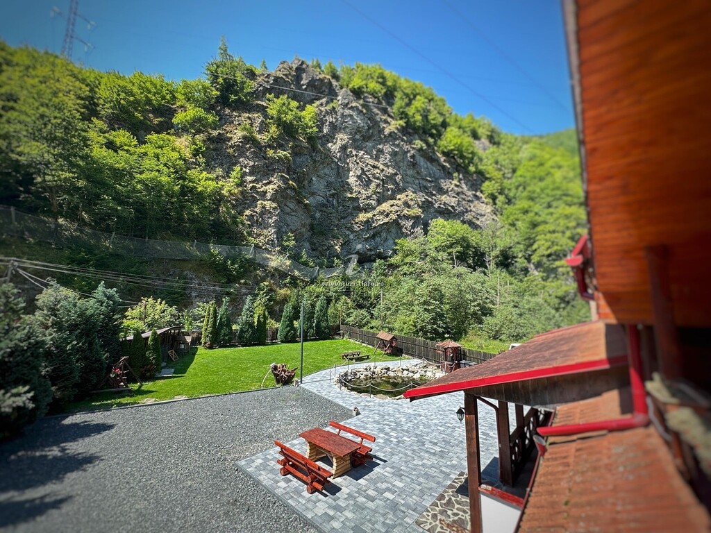 Cabana Ovidiu