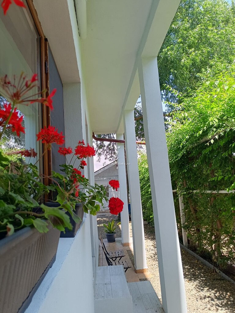 Vila AlmaVille