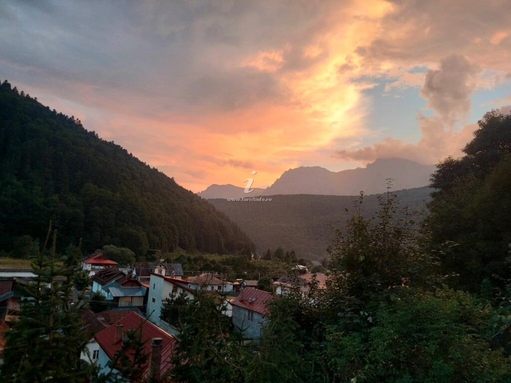 Doi Iepuri