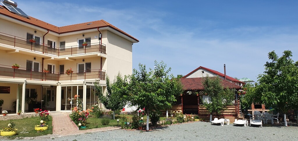 Camere de închiriat Timona