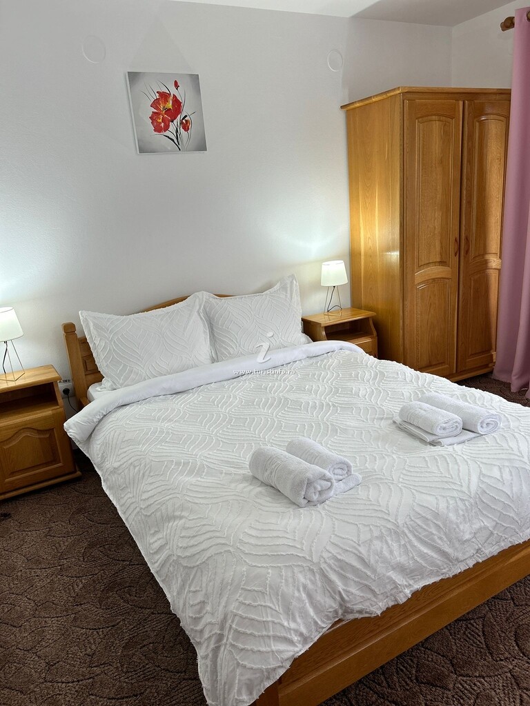 Camere de închiriat Casa Georgiana și Gabriel