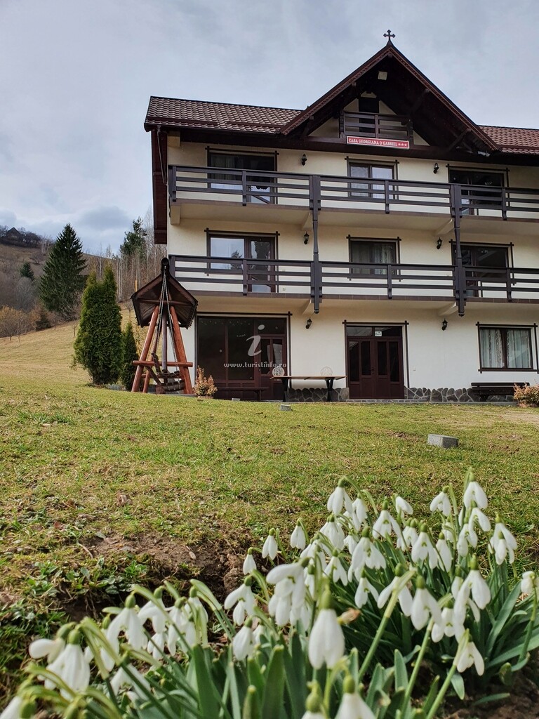 Camere de închiriat Casa Georgiana și Gabriel