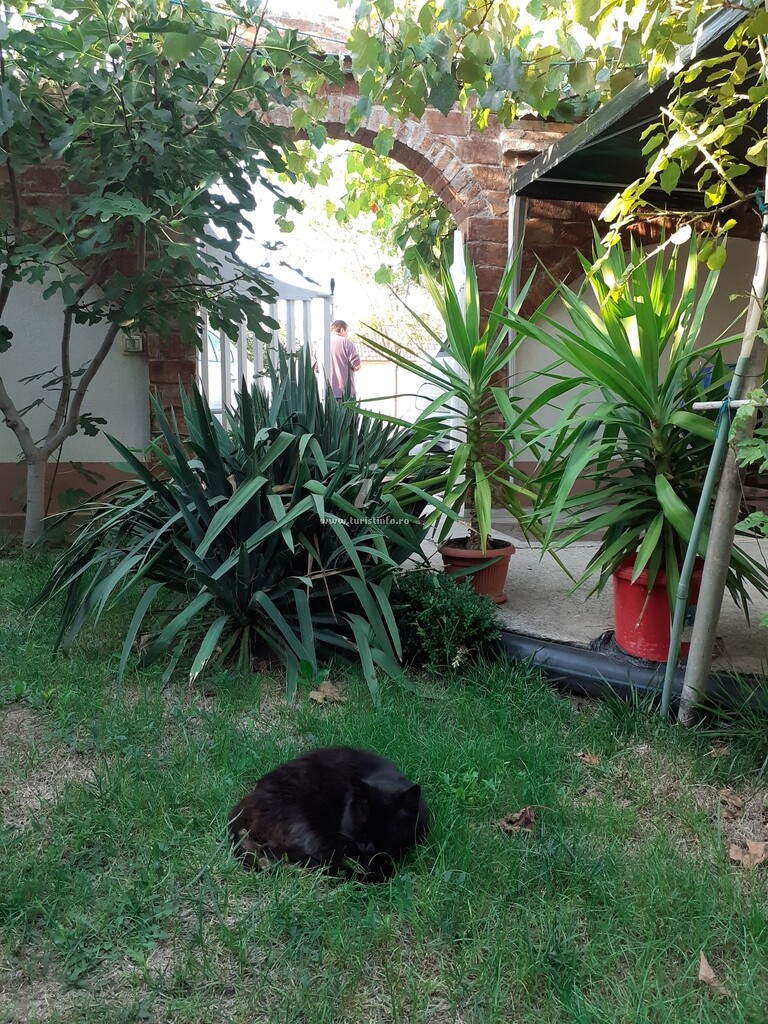 Casa Nicol