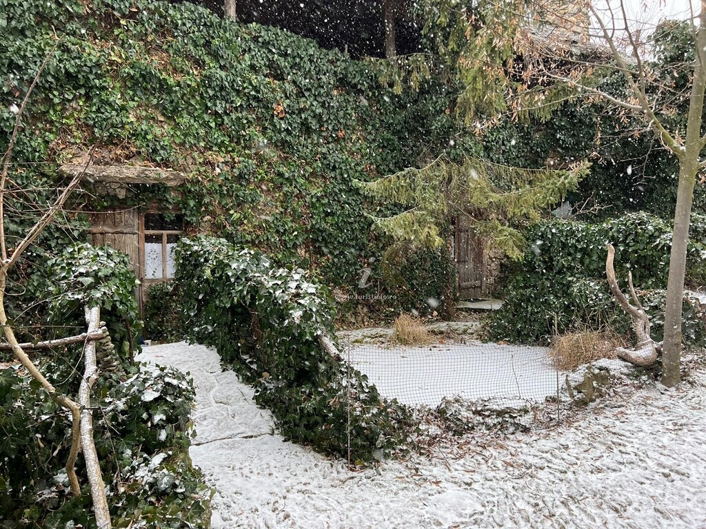 Pensiunea Hanul lui Hanganu