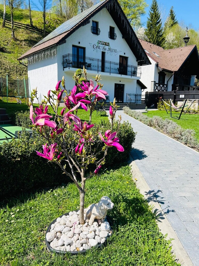 Colț Viu Deluxe