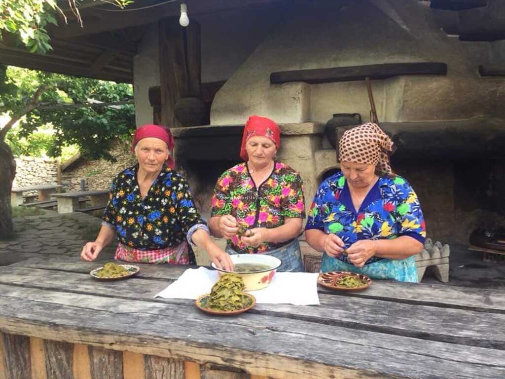 Pensiunea Eco Resort
