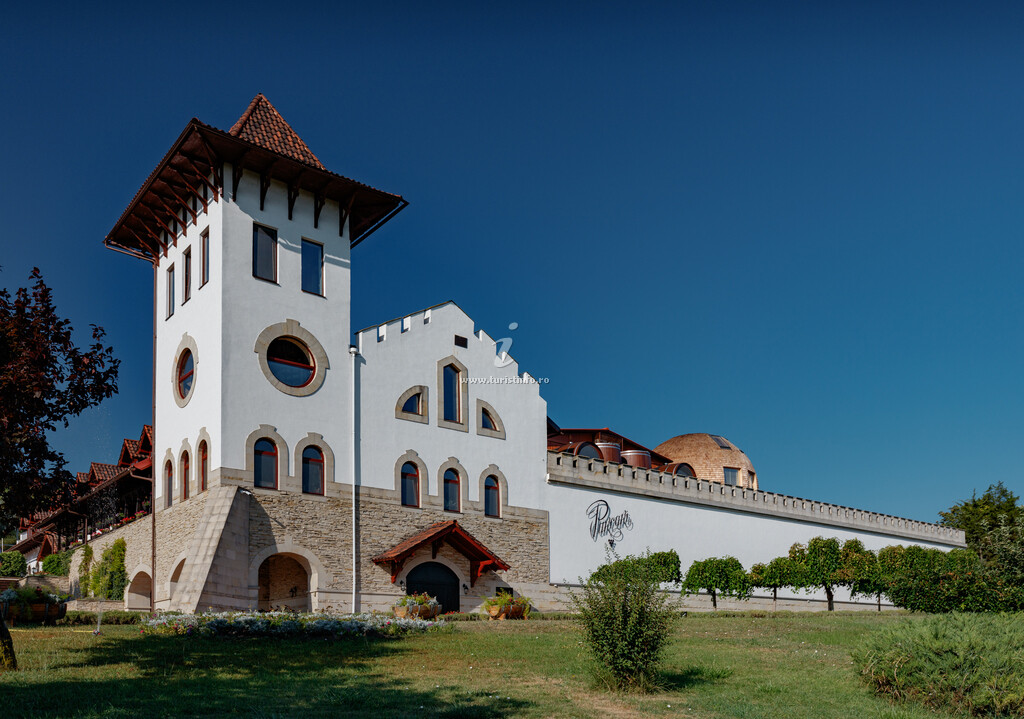 Hotel Chateau Purcari