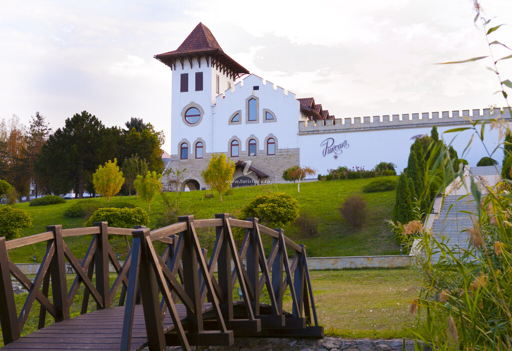 Hotel Chateau Purcari