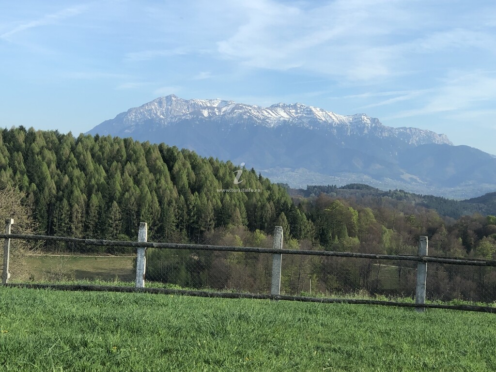 Cabana dintre Fagi