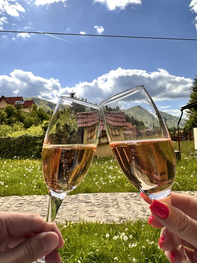Casa de vacanță Maer