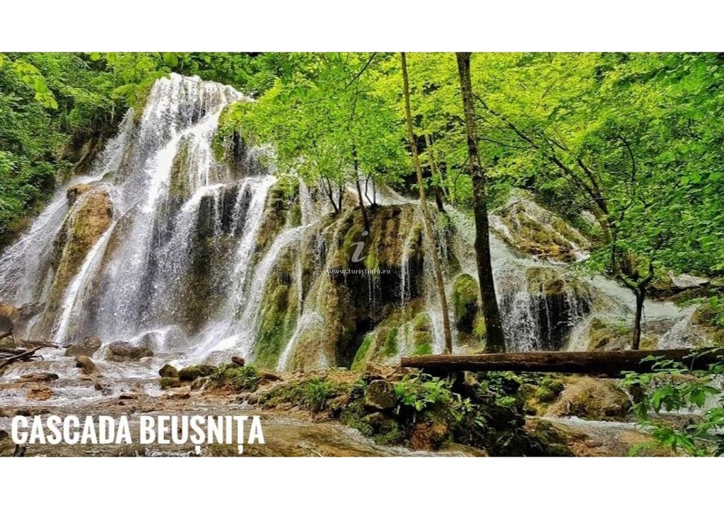 Casa de vacanță Drăgoi - Socolari