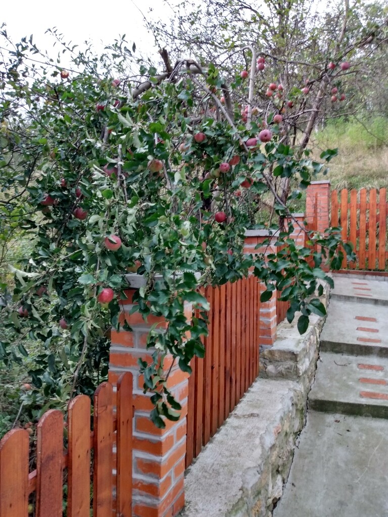 Casa de vacanță Drăgoi - Socolari