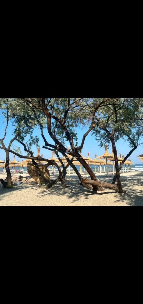Apartament MonCheri